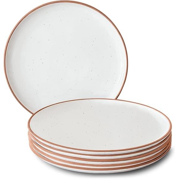Ceramic Dinner Plates Set of 6,10inch Dish Set-Microwave, Oven,& Dishwasher Safe